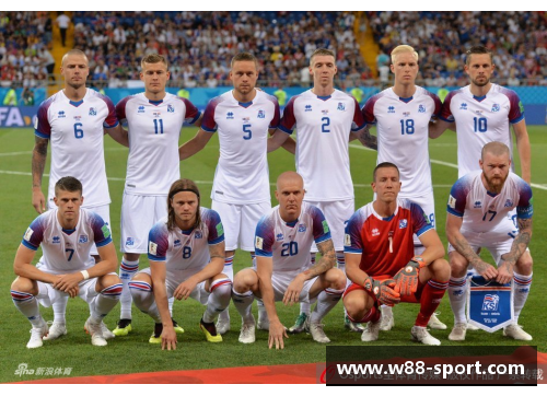 冰岛世界杯之旅:球员与荣耀 冰岛世界杯之旅:球员与荣耀
