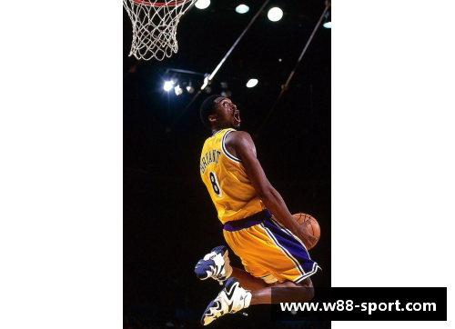 曼巴精神：科比遗产与篮球传承